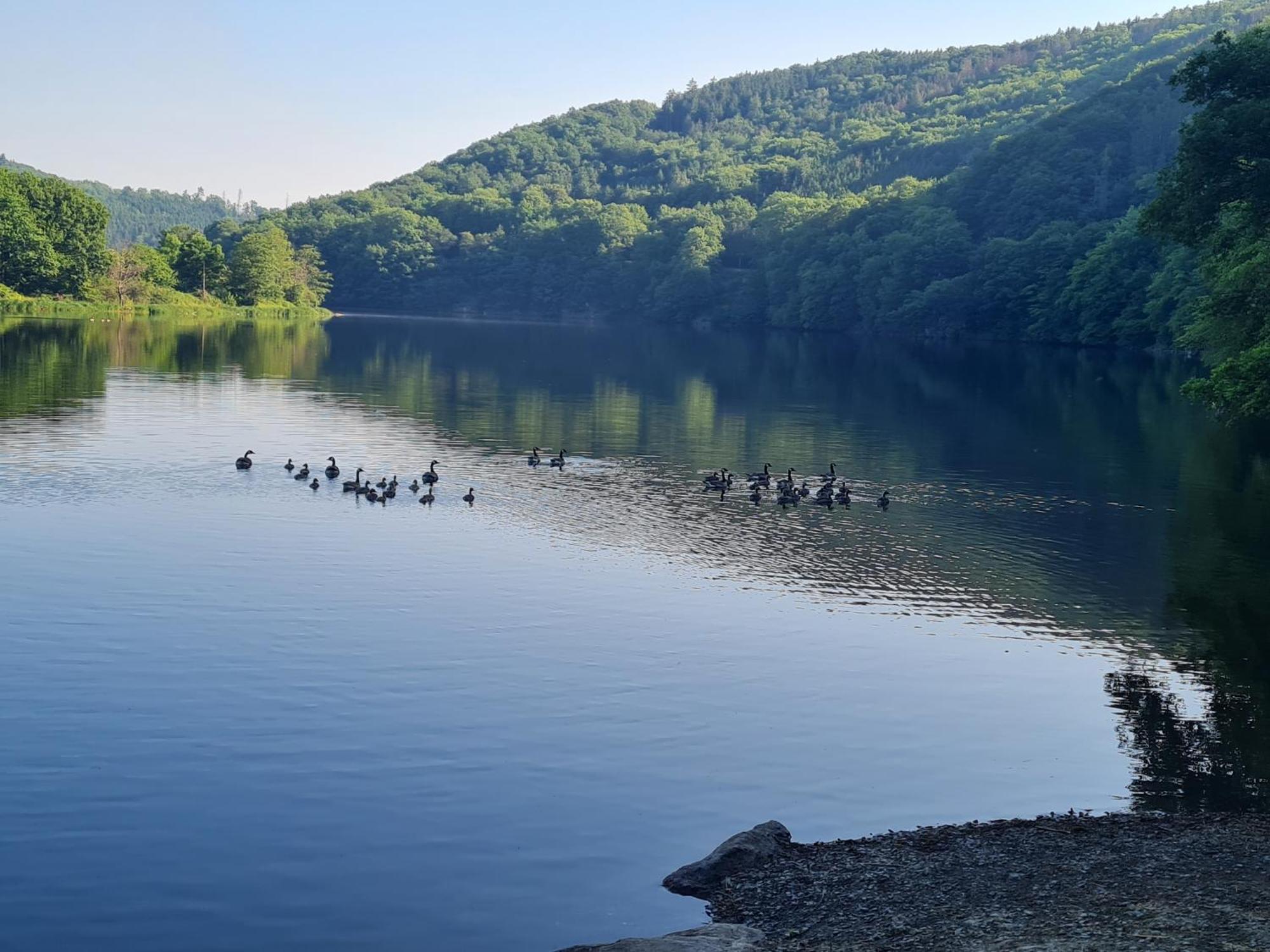 Ferienwohnung Am Rursee -Wohnung 2 Simmerath Bilik gambar